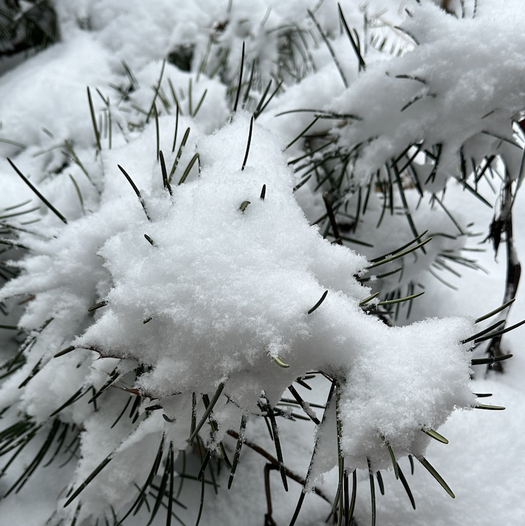 The First Snowfall of 2024 Alan Ilagan